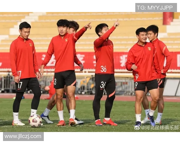 南京足球队的运营模式与市场策略深度解析