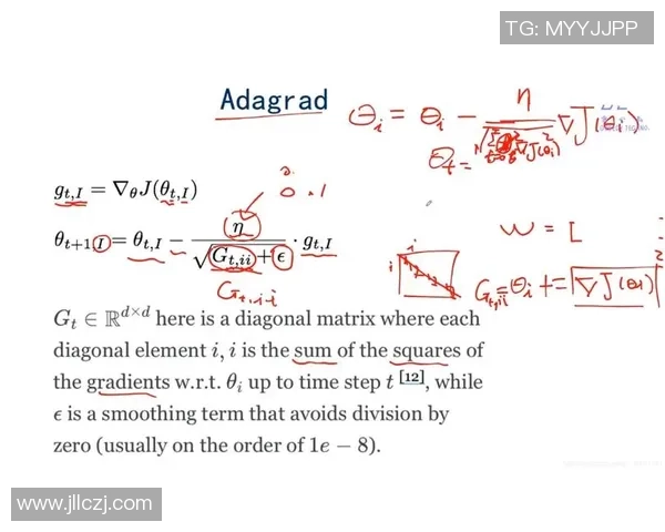 杭州网球队运营分析:成功经验与面临挑战的深度探讨 杭州网球队运营分析:成功经验与面临挑战的深度探讨